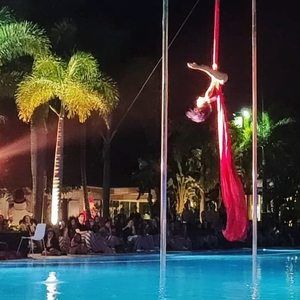 Meet your Posher, Jessie